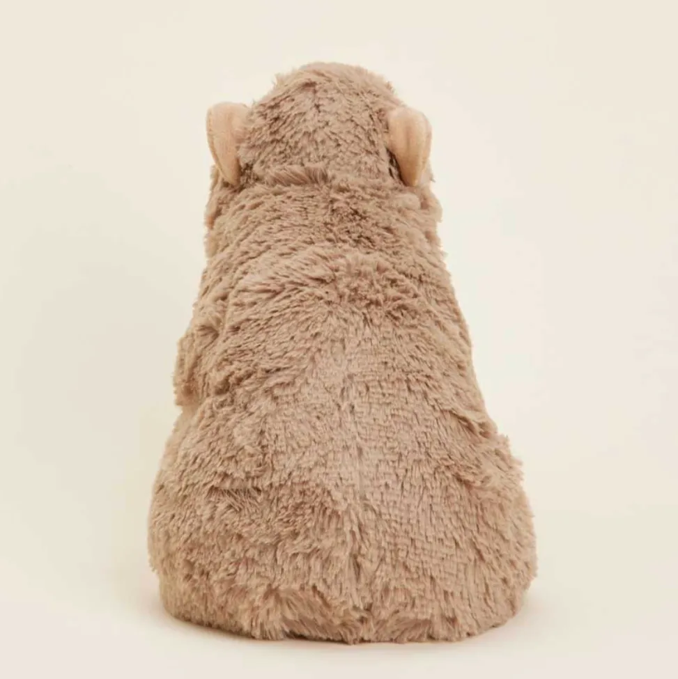 Capybara Warmies